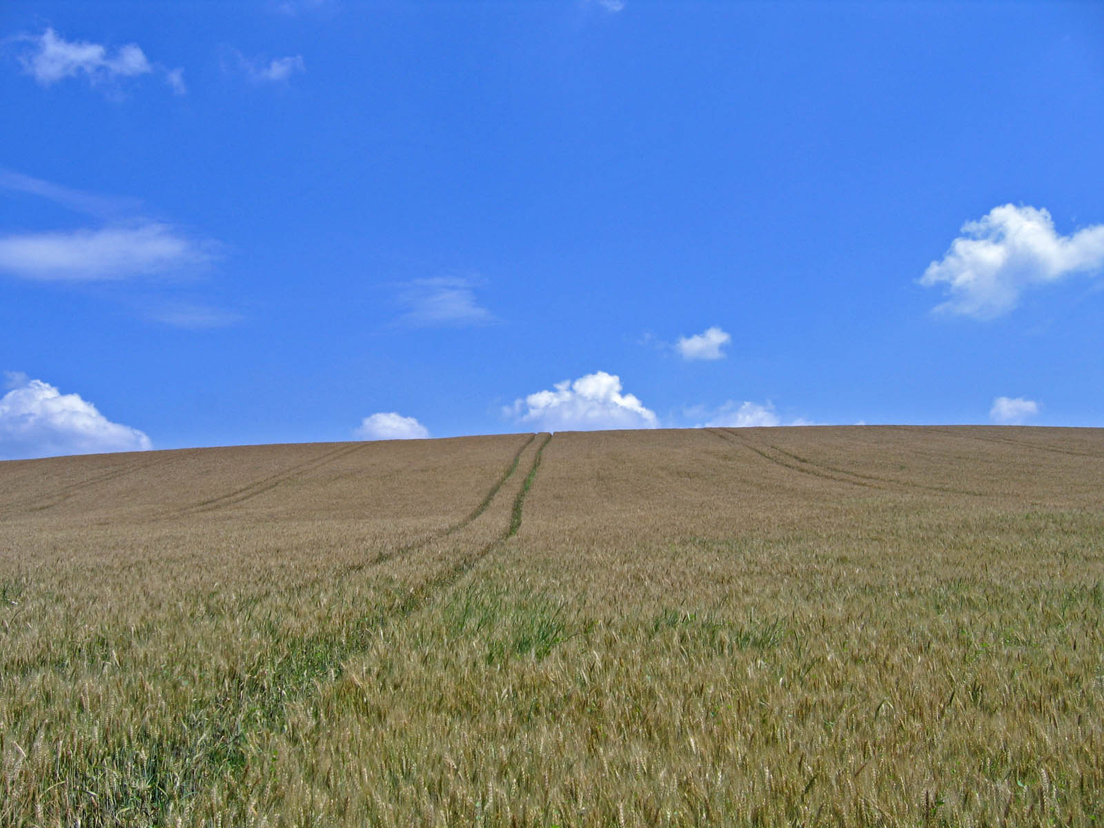 út a felhőbe