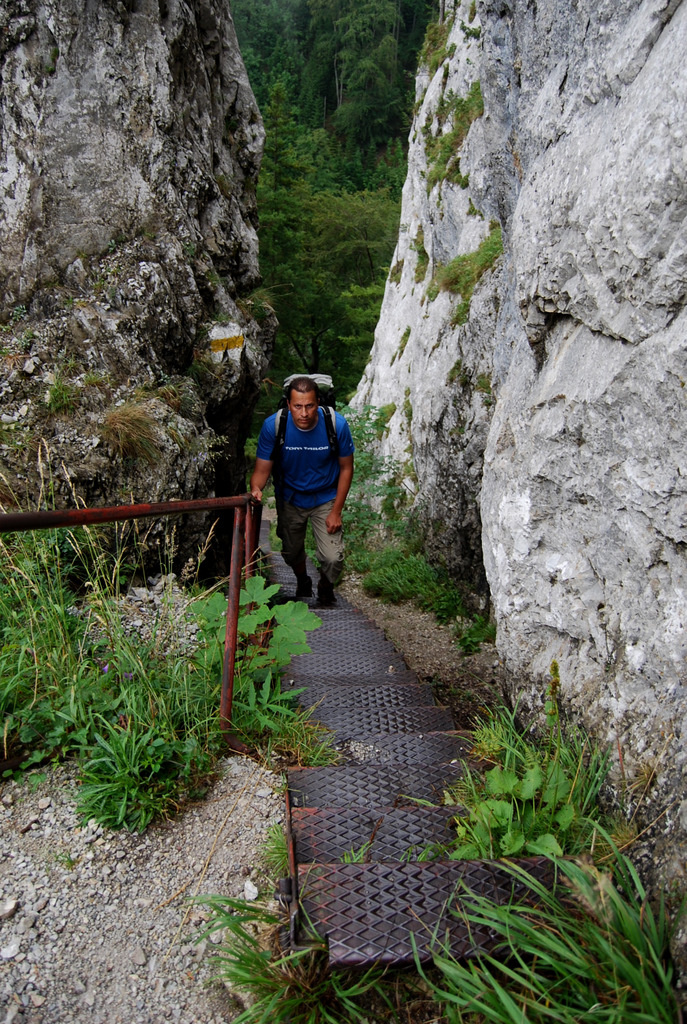 20110728 004 Schönbrunnerstiege, Höllental, Rax, AT