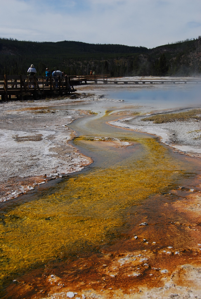 US 2010 Day08  122 Biscuit Basin, Yellowstone NP, WY