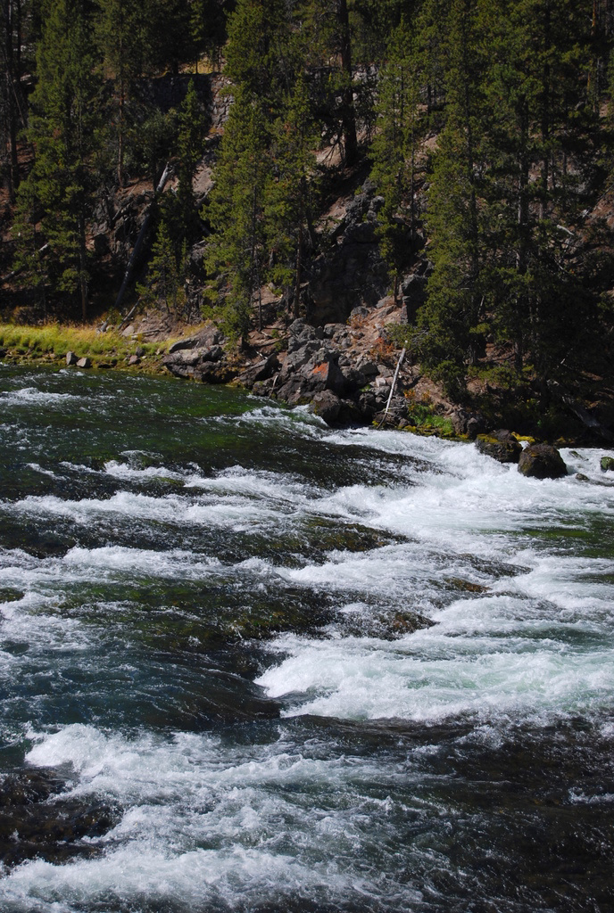 US 2010 Day09  048 Yellowstone River, Yellowstone NP, WY