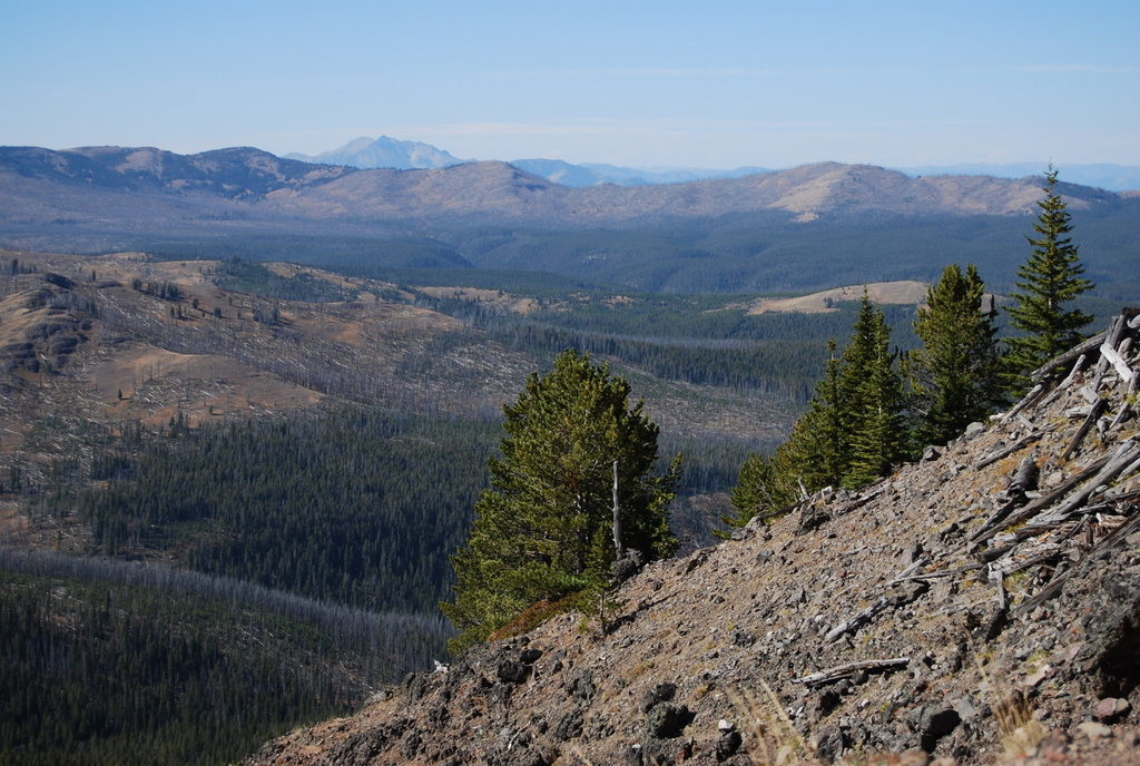 US 2010 Day09  058 Mount Washburn, Yellowstone NP, WY