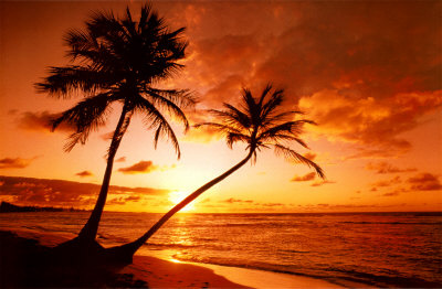 Tropical-beach-sunset - 001a - (allposters.com)