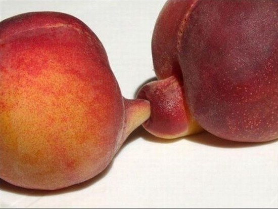 fruitsex