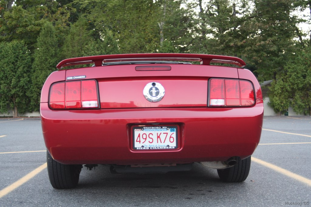 Mustang 42