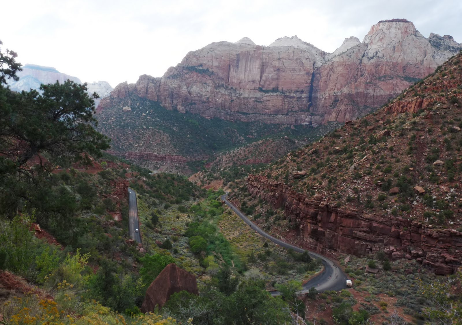 490Southwest Zion NP