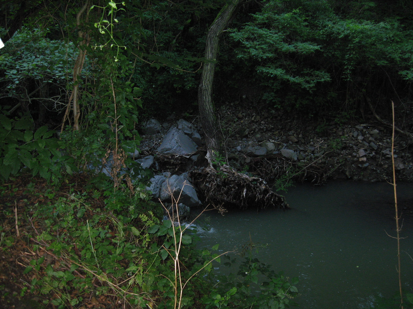 2010 08 07 Holdvilág-árok 086