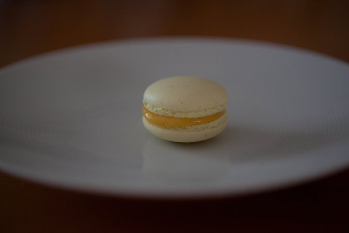 macaron