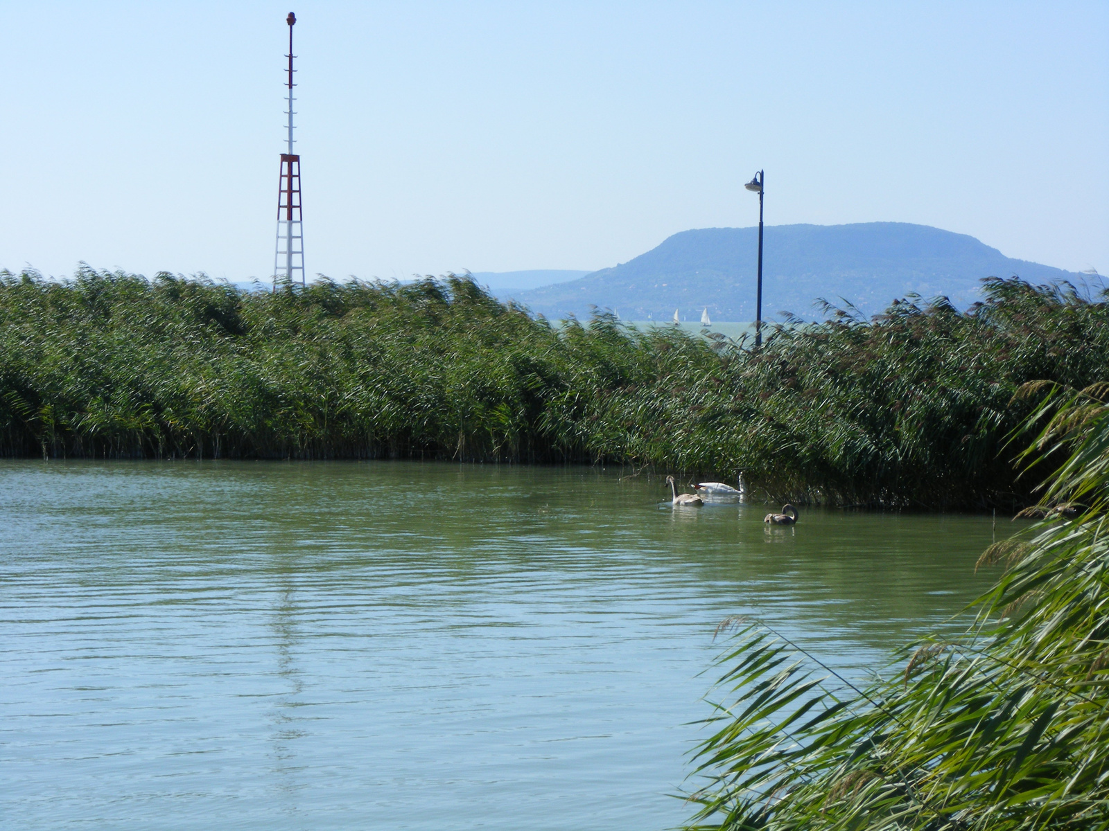 2008 Balatonlelle