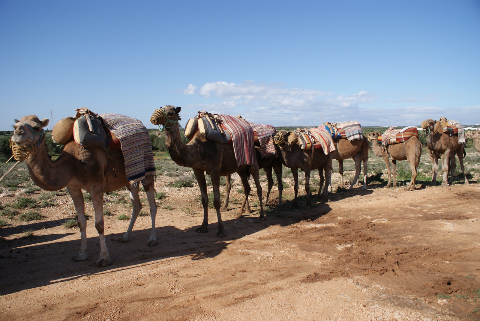 Sousse, Sivatagi Túrán