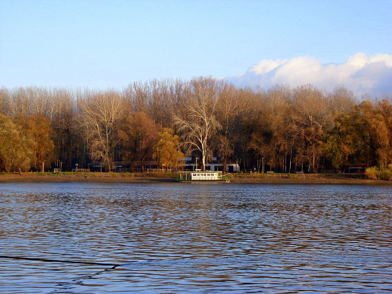 Tisza