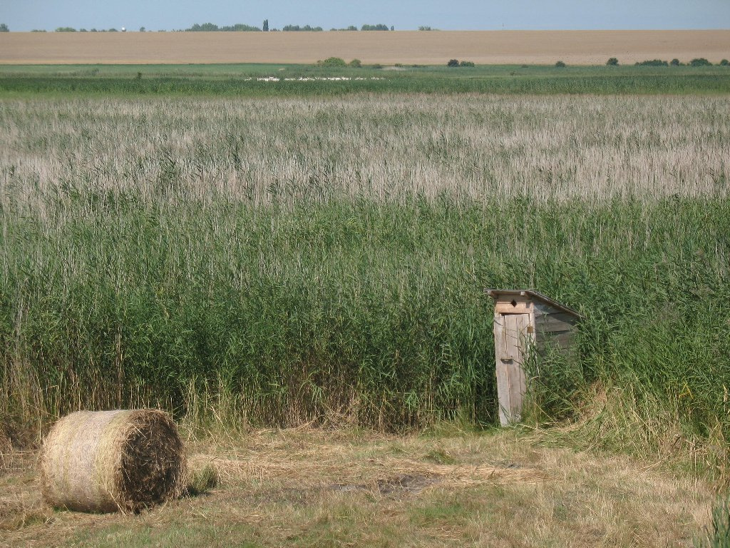 A toronyból