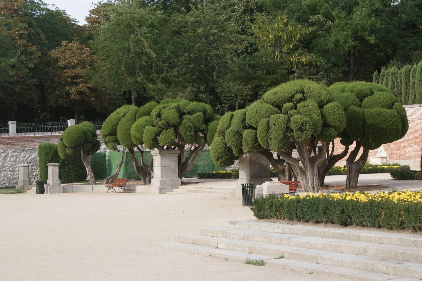 Parque del Buen Retiro 3 Madrid