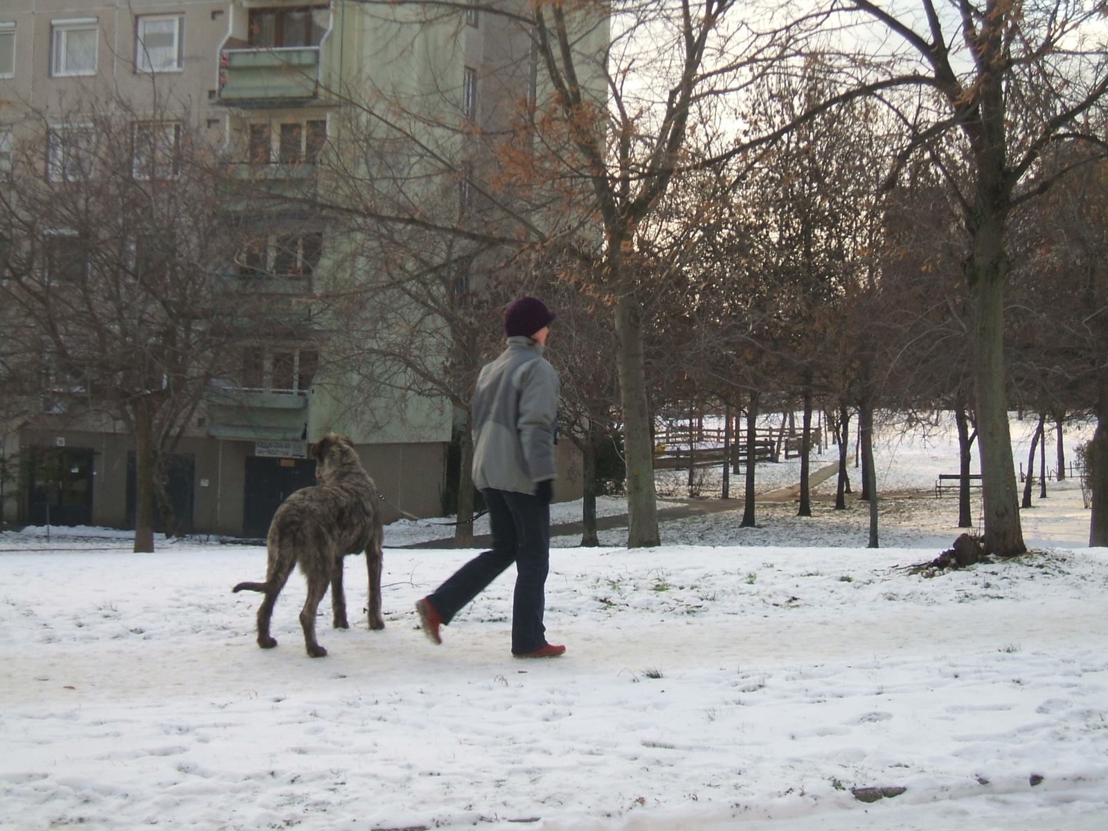 Kutyák 20111012 010