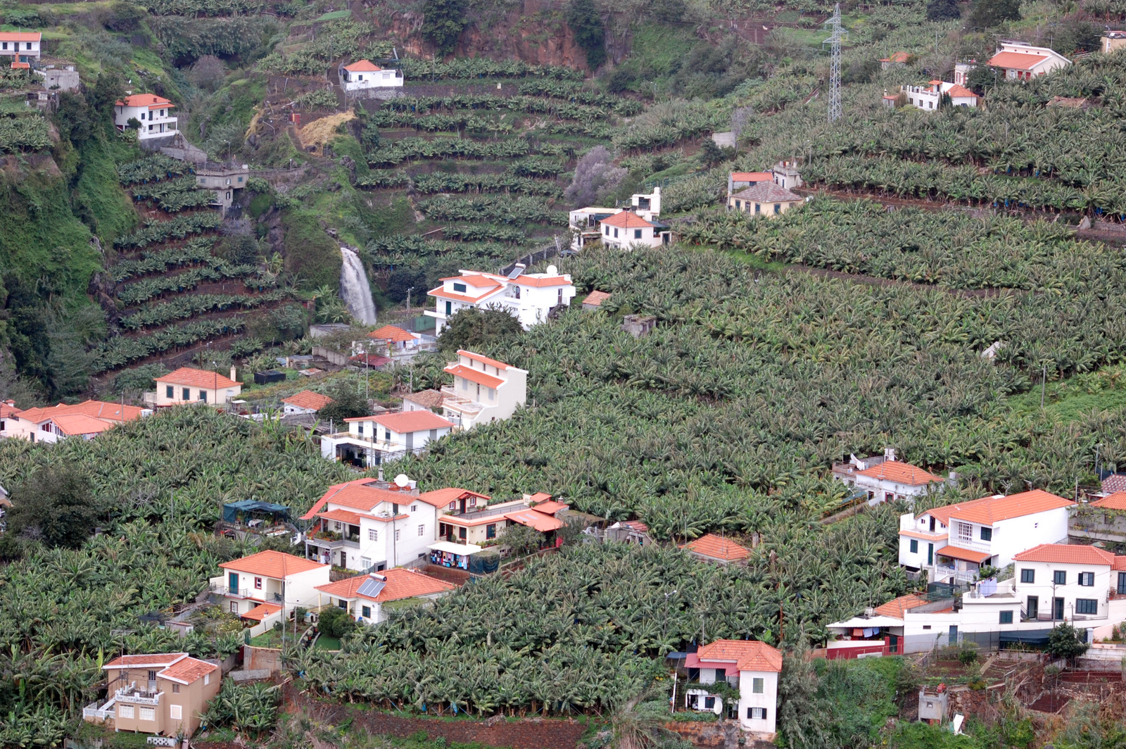 Madeira 2010 (288)