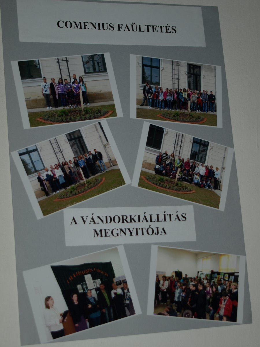 Projekttalálkozó 2011 tavasz Kézdivásárhely 026