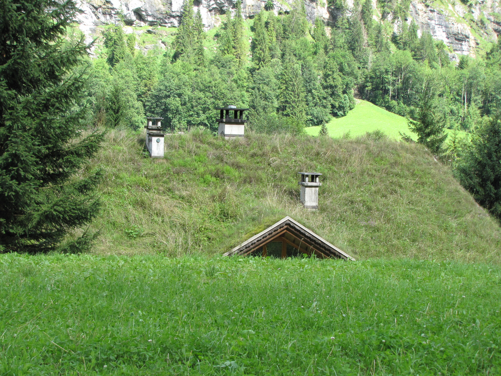 Jungfrau Region, Lauterbrunneni fővölgy, egy igazán zöld