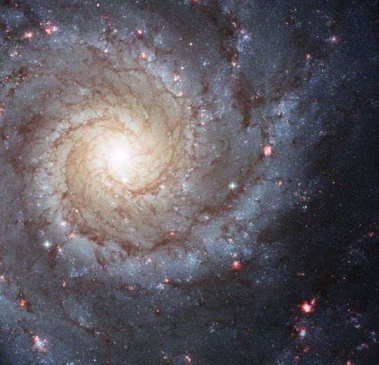 M74 Pisces spirálgalaxis