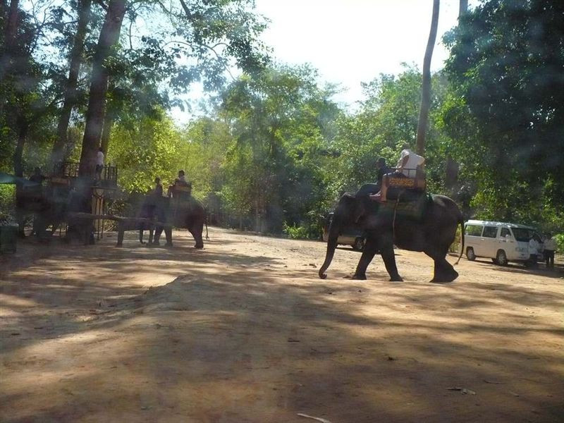 angkor (5)