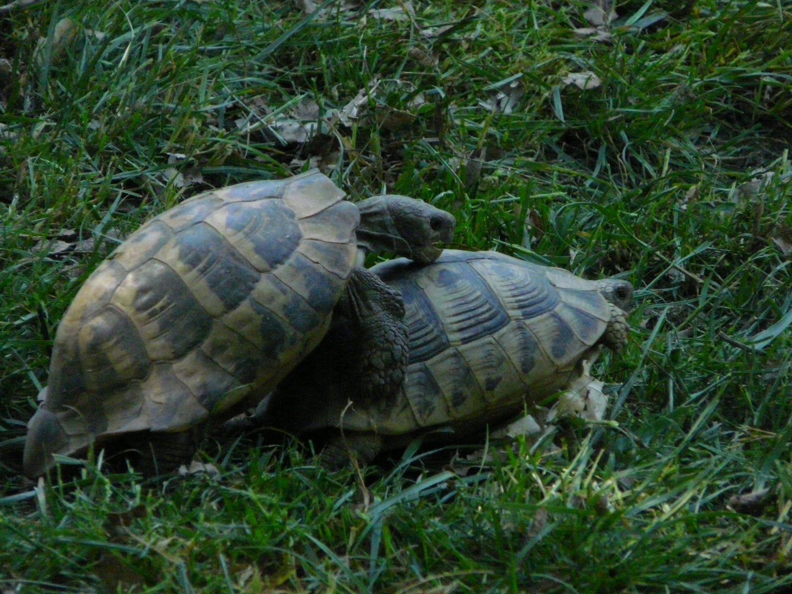 Osztálykirándulás 2009 072