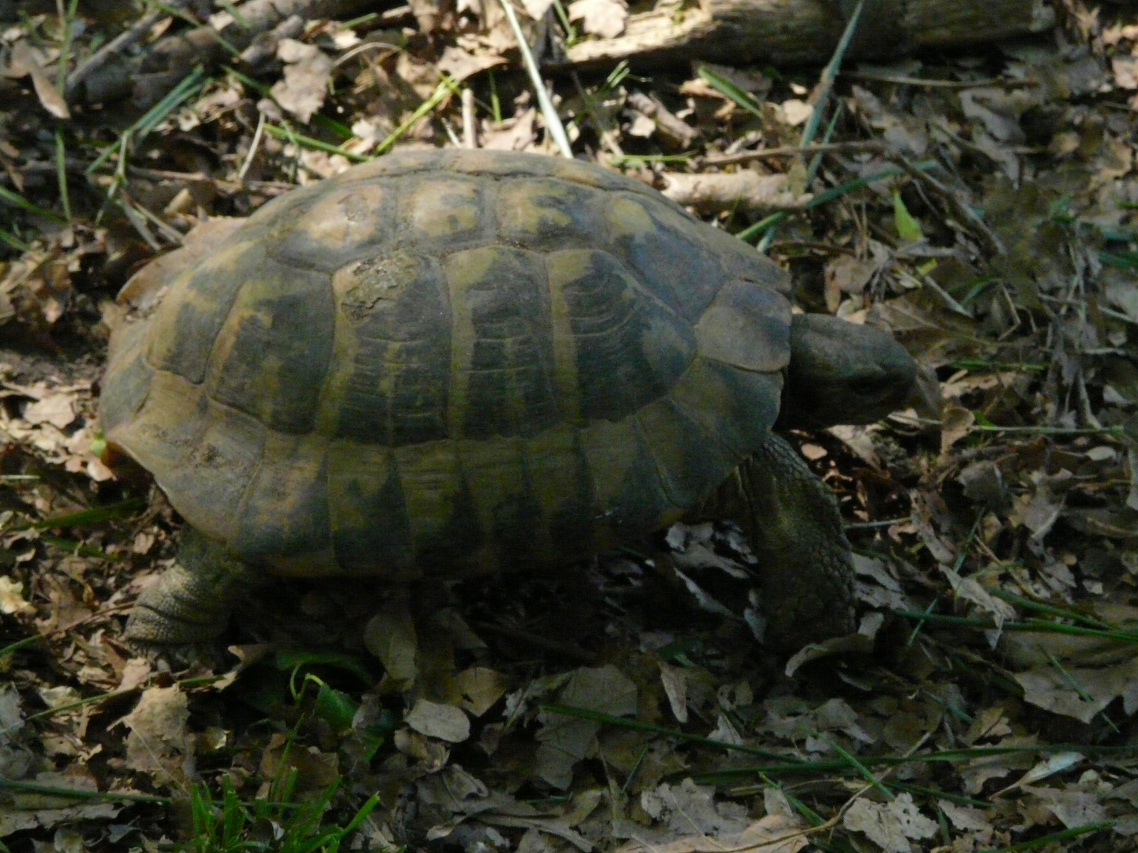 Osztálykirándulás 2009 073