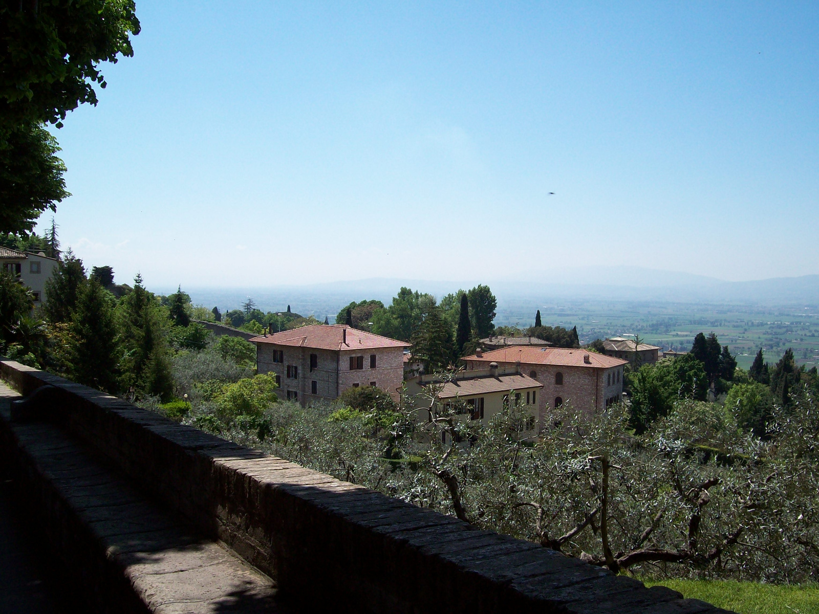 assisi09