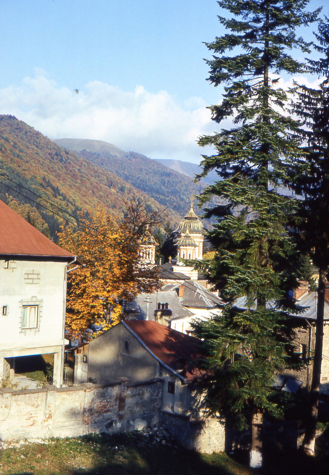 1982031 Sinaia