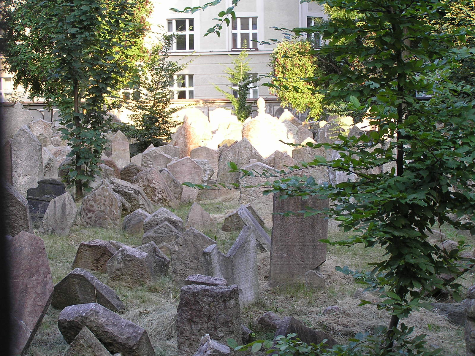 376 Prága Régi zsidótemető