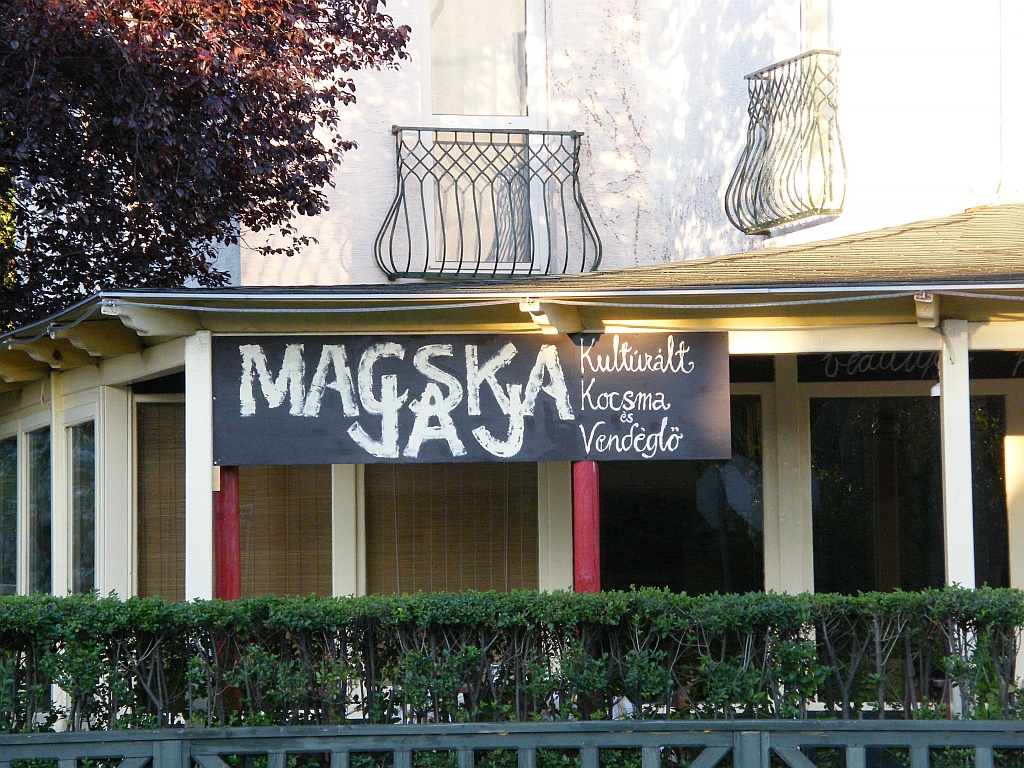 Macskajaj