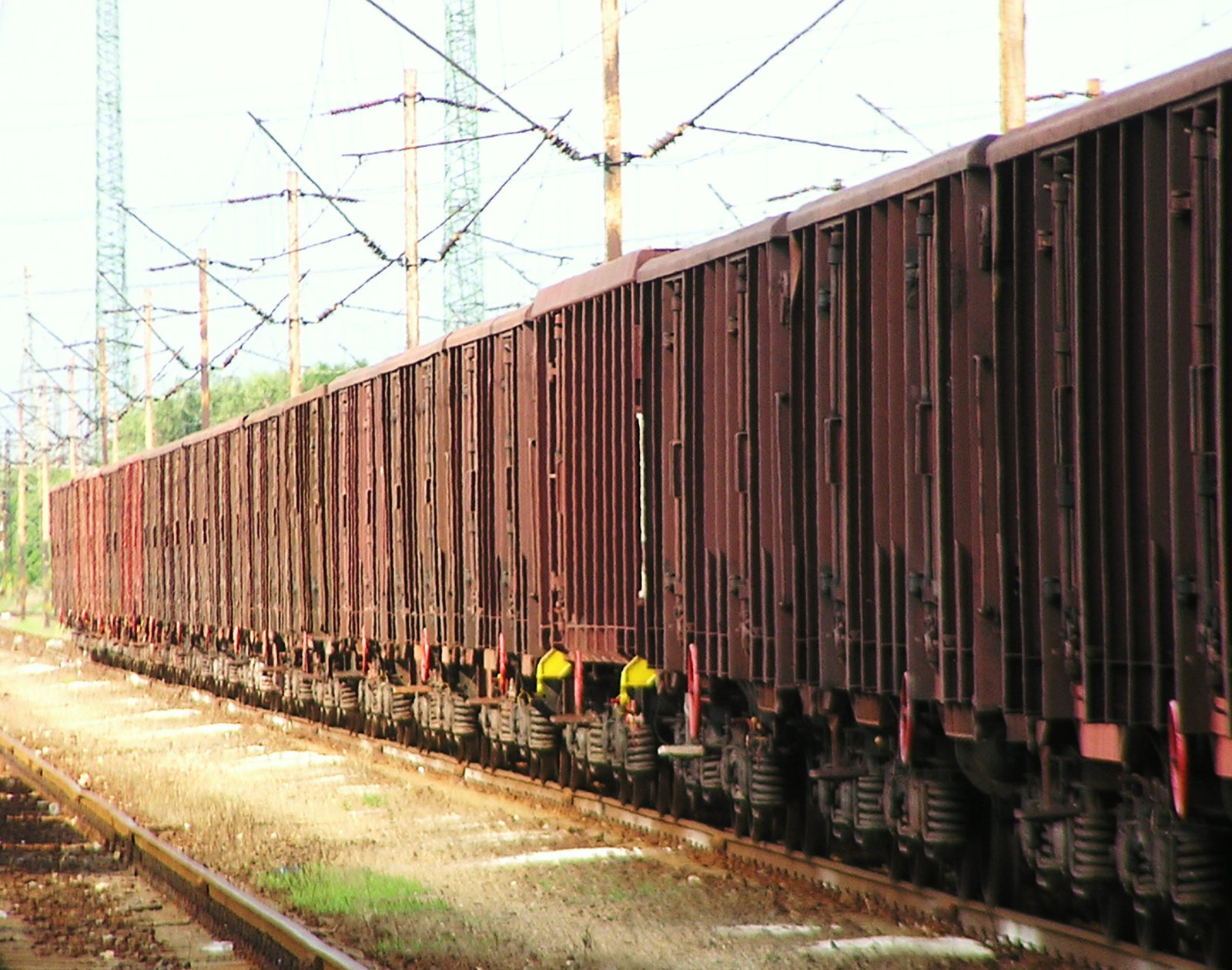 vzl1010282