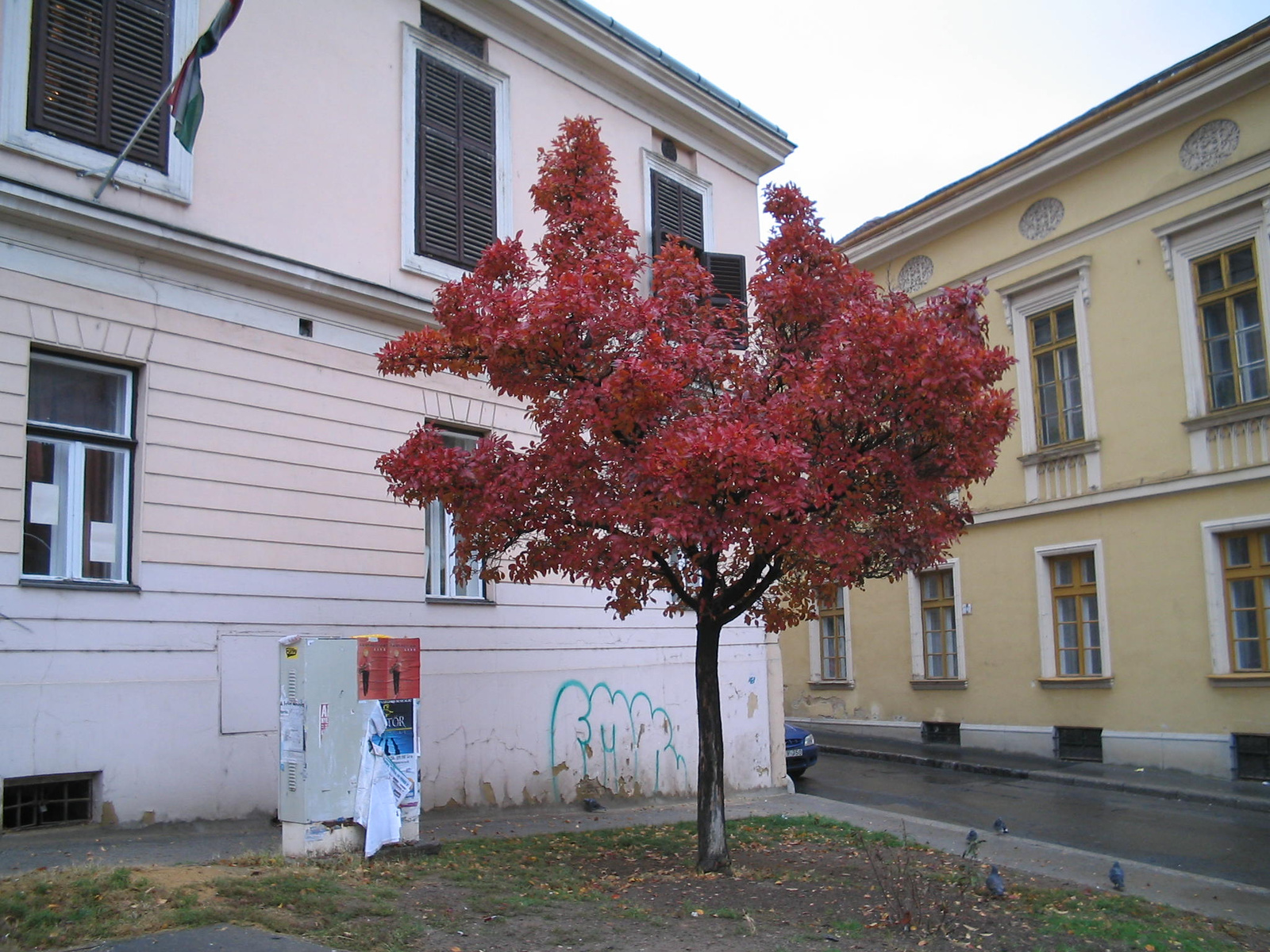 Pécs