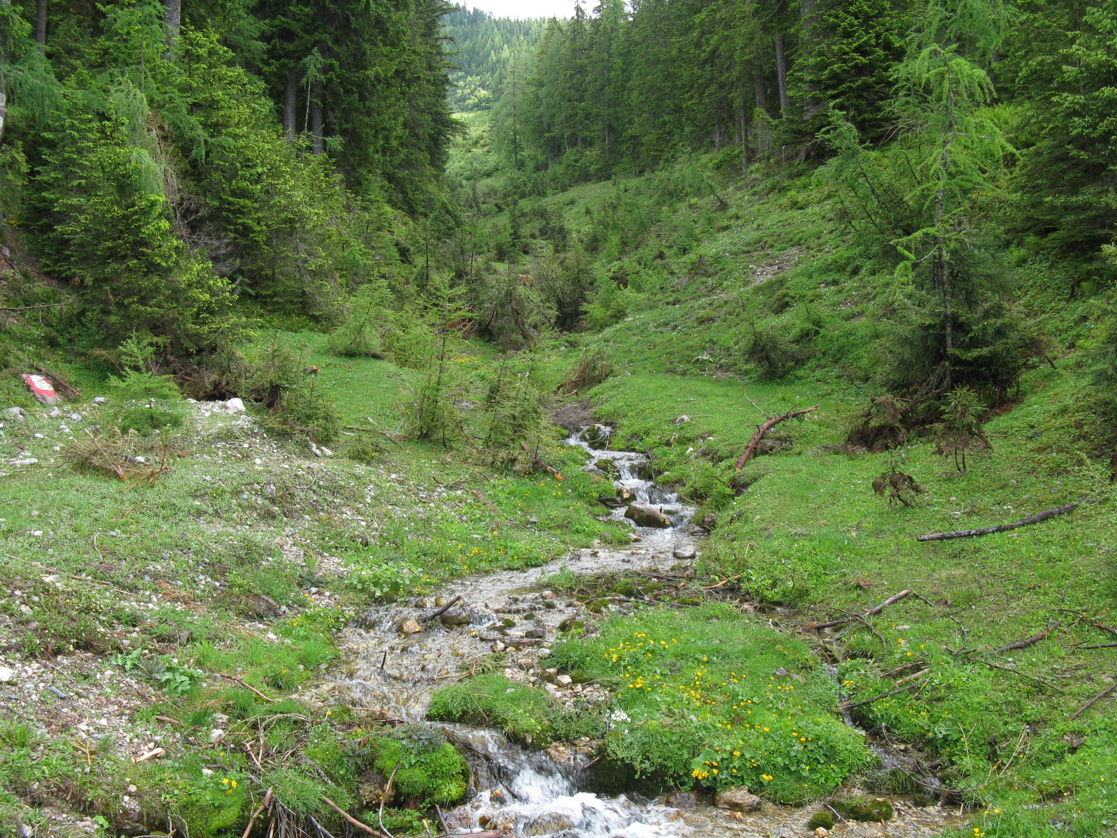 Dachstein