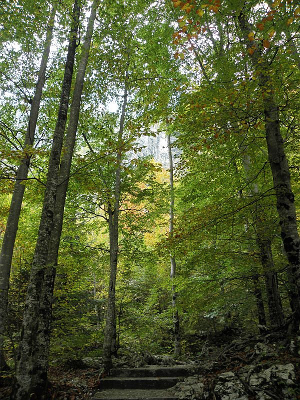 Triglav Nemzeti Park