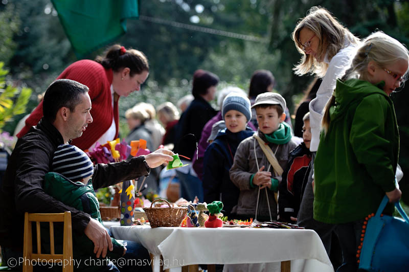 oszivasar-web/DSC 7428