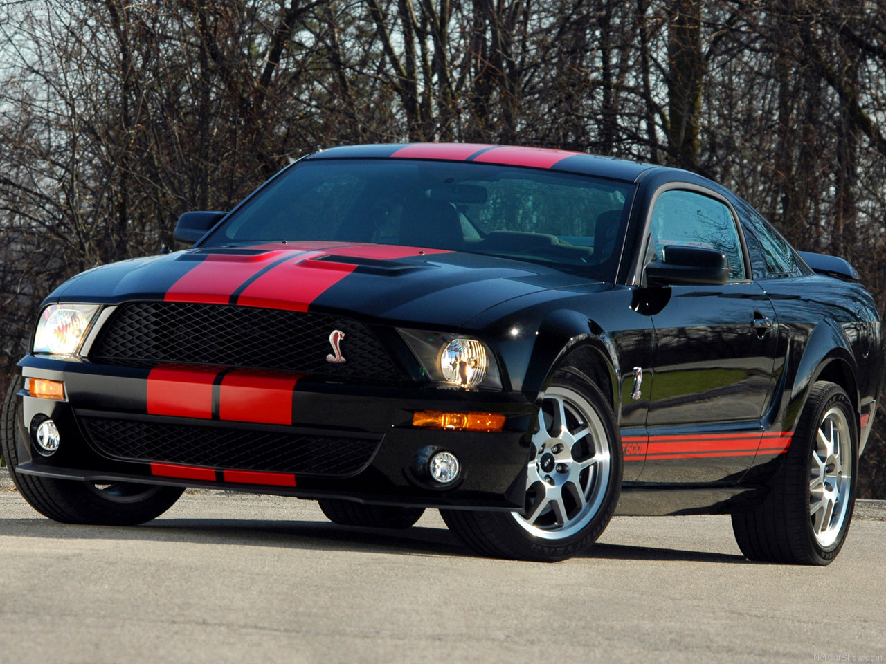 Ford-Mustang Shelby GT500 Red Stripe 2007 1280x960 wallpaper 02