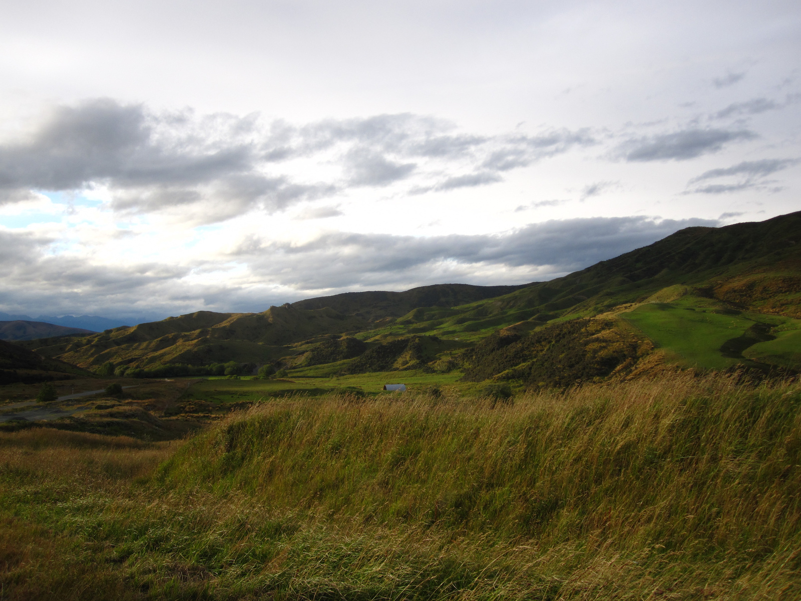 (390) Fiordland határán