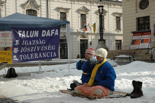 2010.02.13. Pécs, Színház tér 7 (Fotó: Kajdács B.)