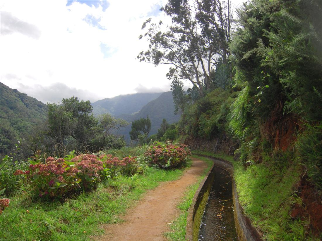 Levada