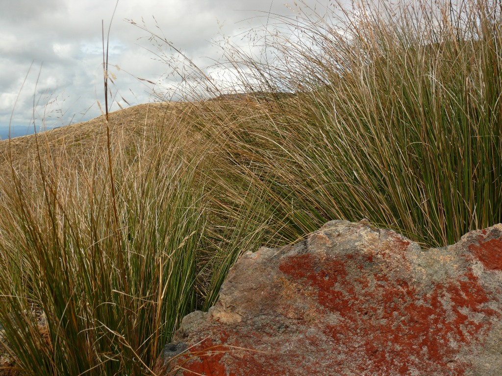 56Tongariro