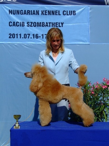 Szombathely CACIB 110716 102