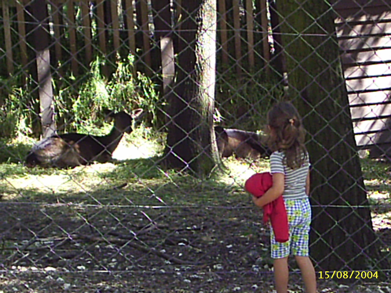 Budakeszi Vadaspark 020