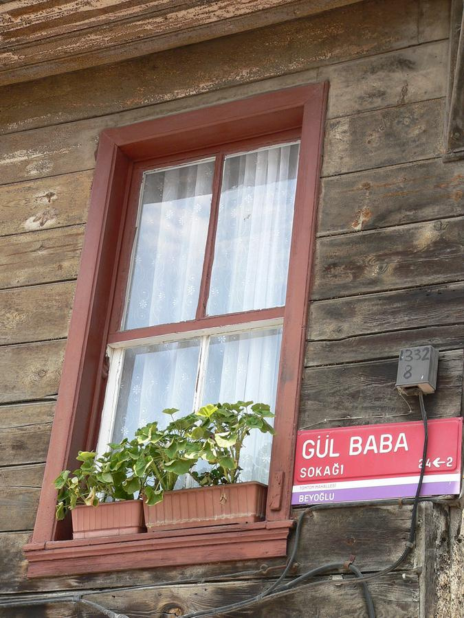 Gül Baba ablaka?