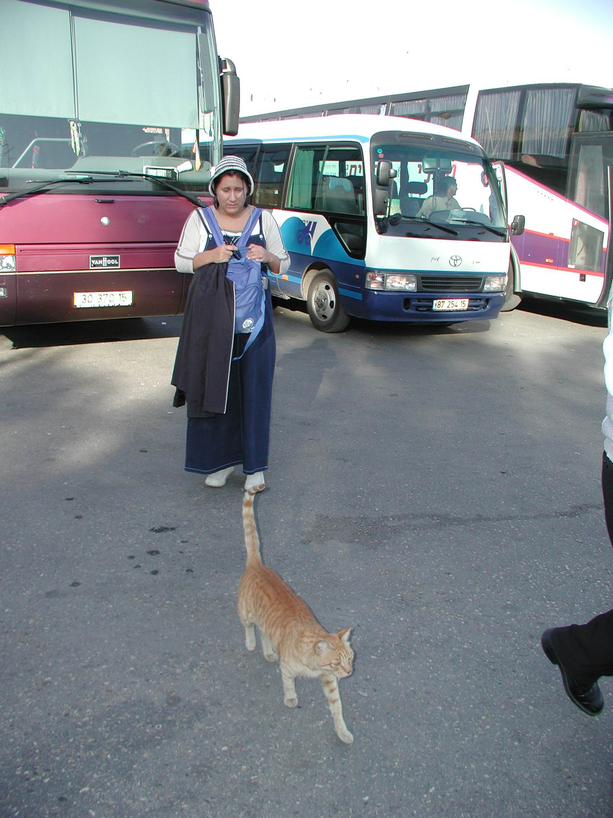 03-4Timi a Jad Vasem parkolójában macskával