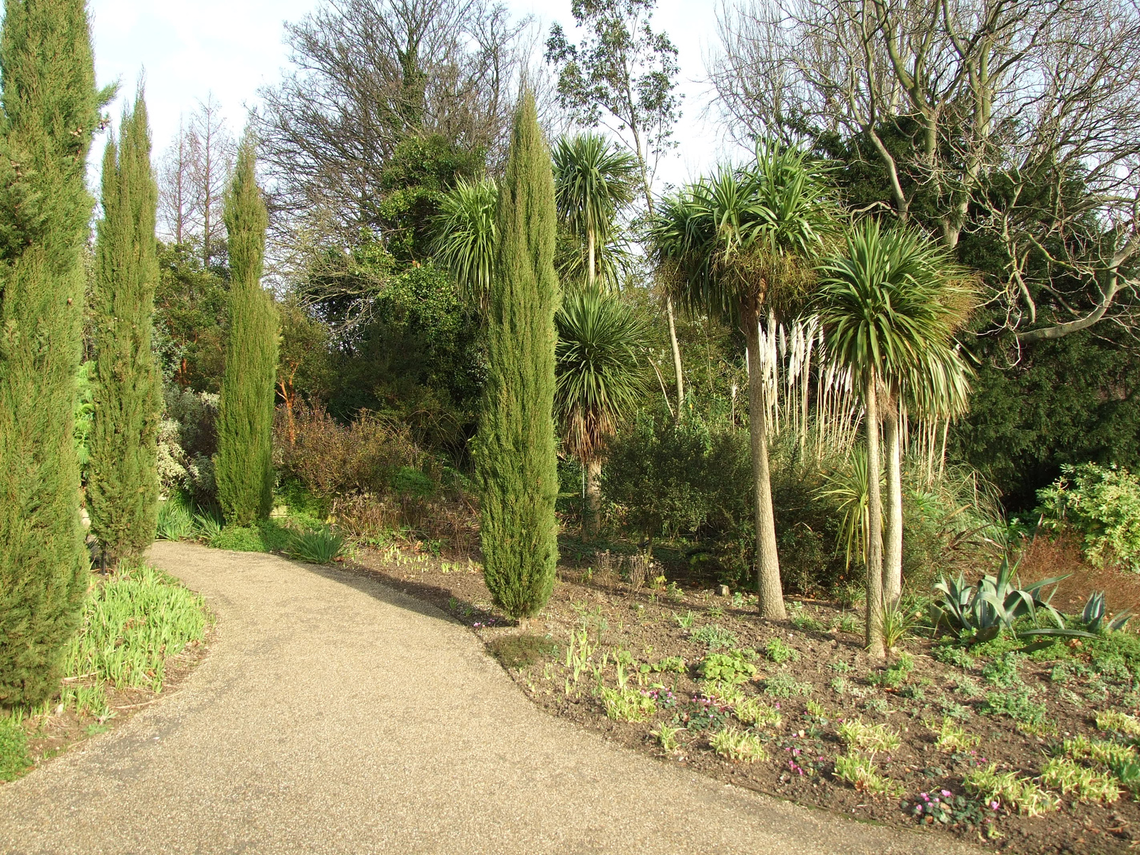 Queen Mary's Gardens (2)