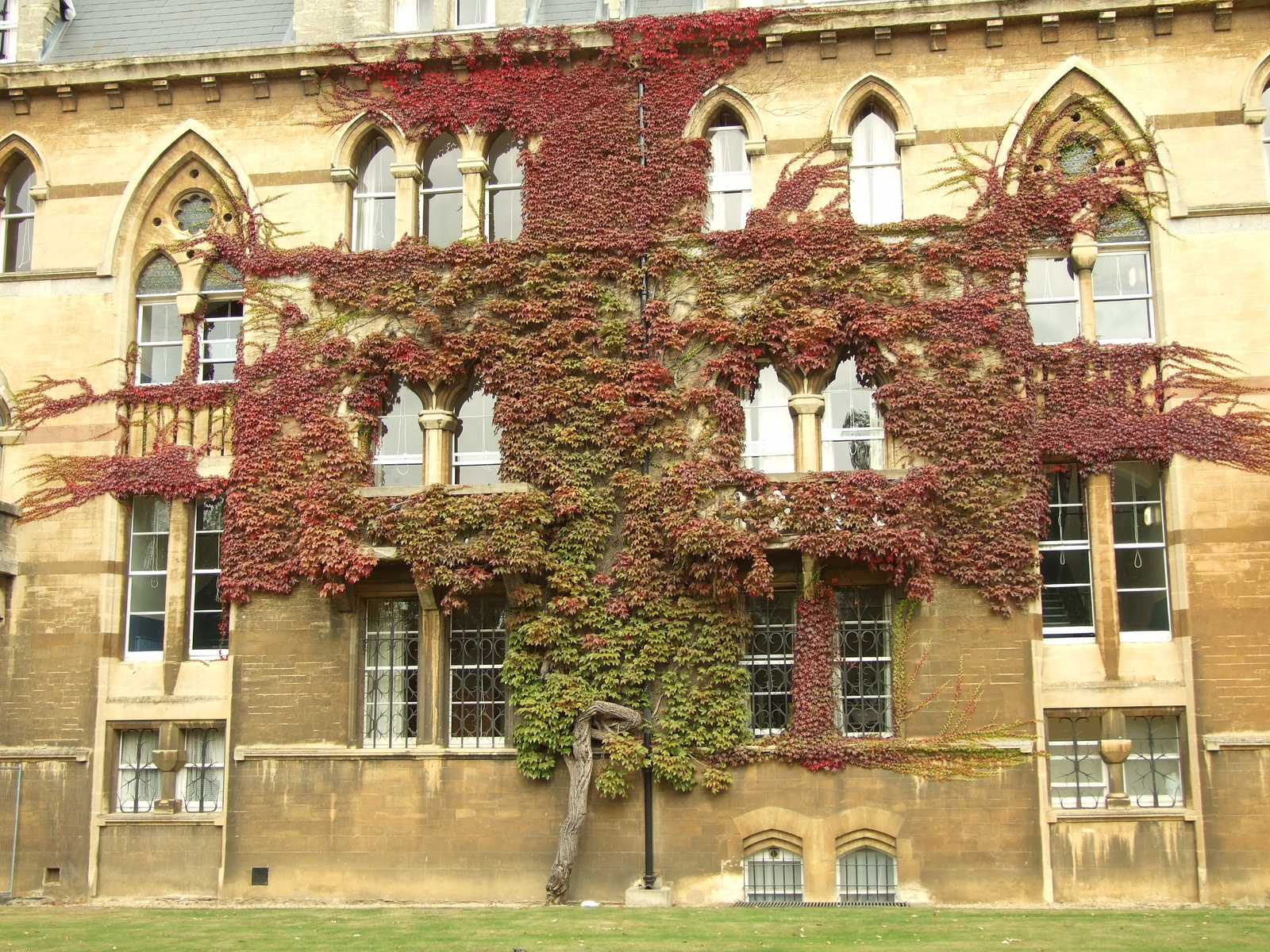 Fa, Christ Church College, Oxford