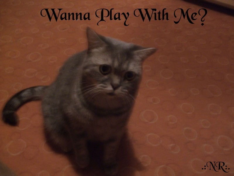 Wanna Play With Me