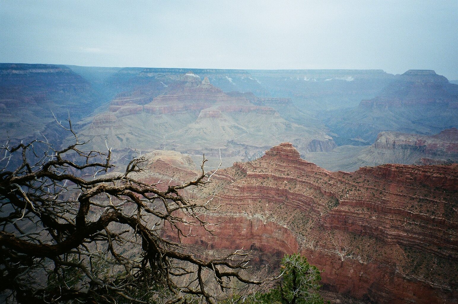 GRANDCANYON