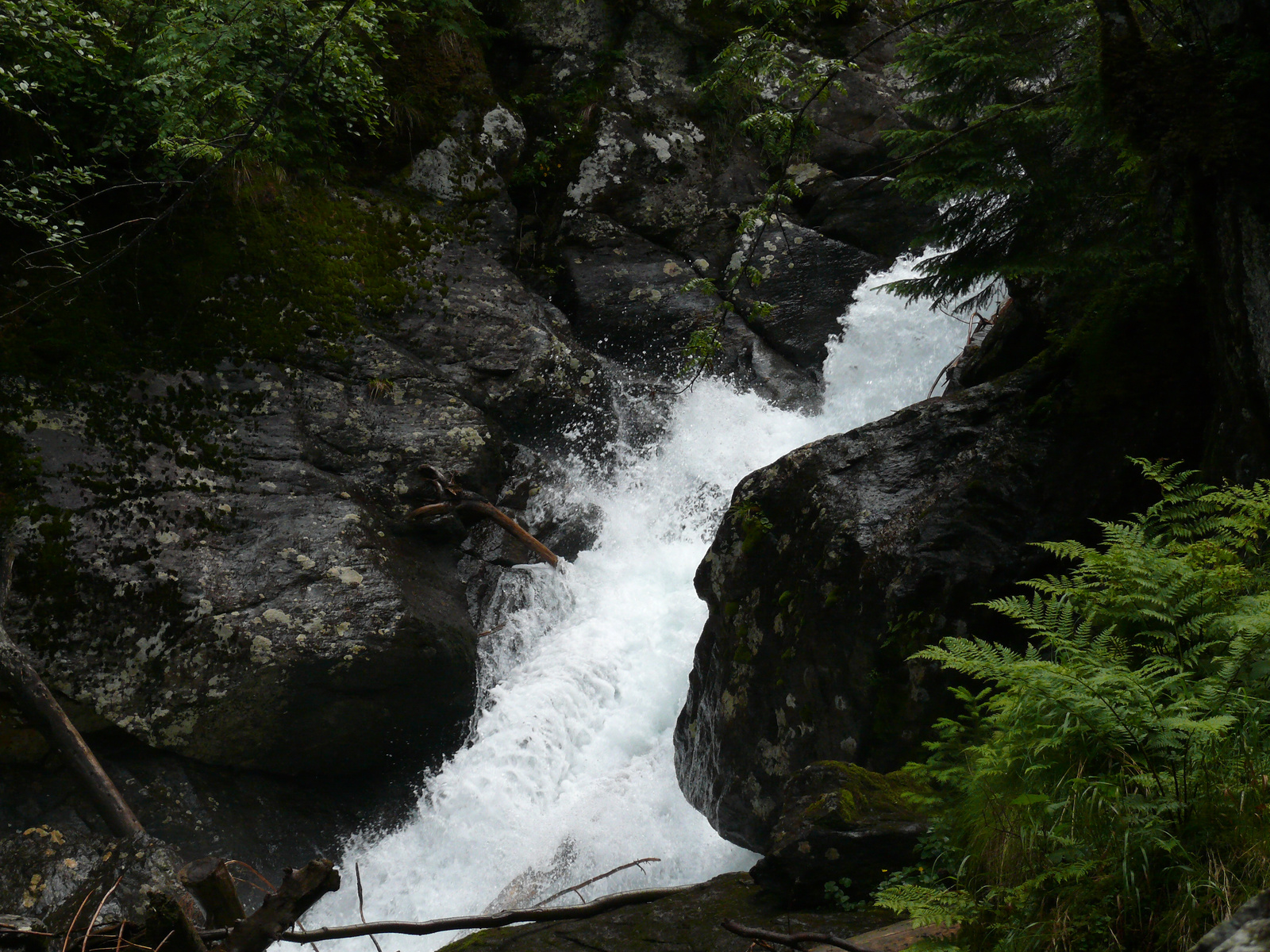 Riesach Wasserfall (48)