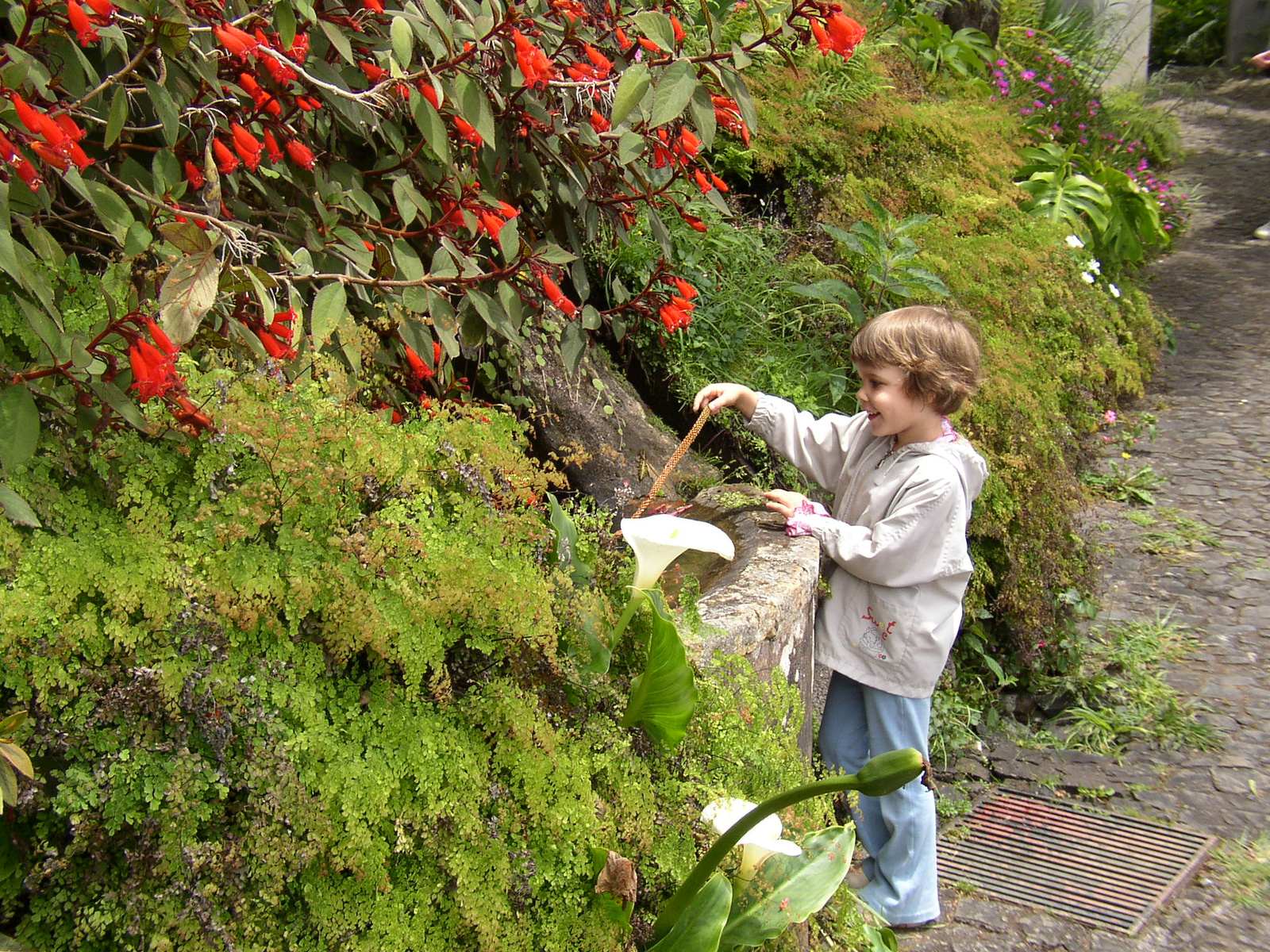 madeira2007 071