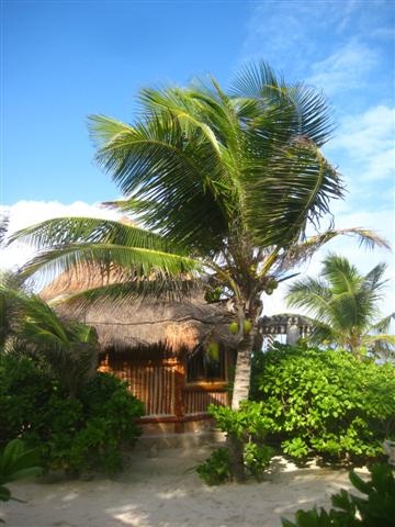 11 tulum (39) (Small)