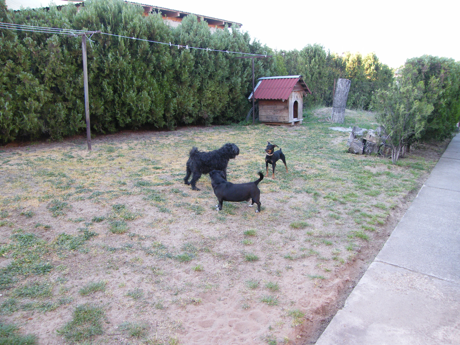 lányok a Bogyóval